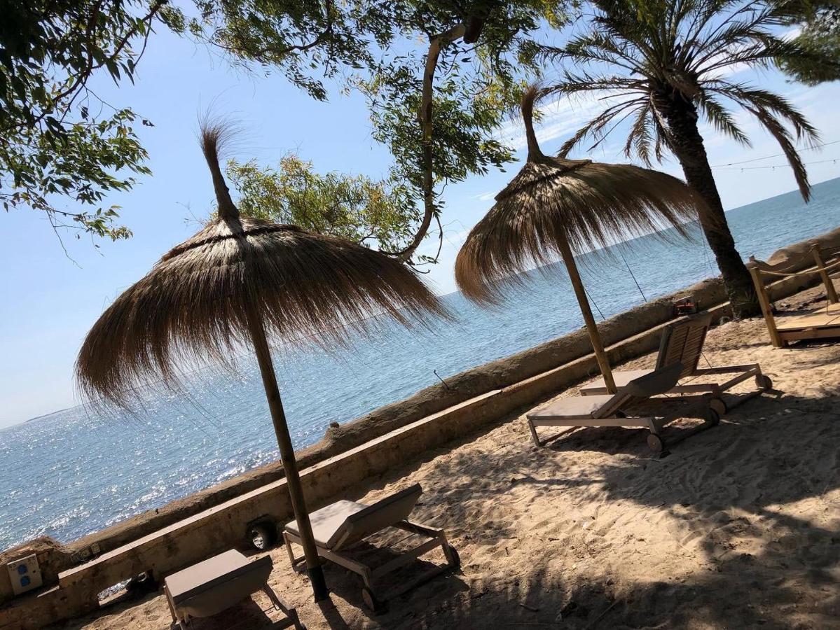 Villa Fortuna Alcanar Εξωτερικό φωτογραφία